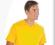 T-shirt, koszulka unisex V-neck kolory LOGO HAFT