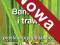 Ardle Jon - Bambusy i trawy, Nowa