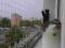 Siatka dla kota na okno balkon montaż Warszawa!!!!
