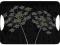 PIĘKNA Taca melaminowa 47cm x 33cm Czarna Kwiaty