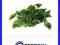 Roślina sztuczna Geranium Mat Small Komodo