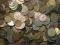 EGZOTYCZNE monety na kilogramy - Tylko 69 zł/ kg