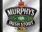 Lustro barowe 20X30 cm Piwo Murphys Irish Stout
