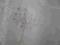 DMUCHAWCE zwiewny haftowany woal kpl. zasłon-biały
