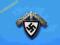 odznaka Rad-Niemcy III Rzesza