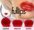 @HIT Fullips DARMOWA WYSYŁKA 24h! Towar z PL roz.S