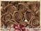 Różyczki róże atłasowe 15 mm 10 szt kakaowy brąz