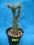 Kaktusy Cylindropuntia tunicata nr8103 w don 7cm