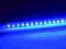 Eurolite SFC-100 LED Neon niebieski FVAT GW 100cm!