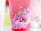 VICTORIA SECRET - CHERRY ORCHID LILY BLOSSOM SCRUB