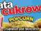 WATA CUKROWA baner reklamowy 3m/1m reklama POPCORN