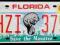 Tablica rejestracyjna USA-FLORIDA