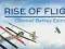 RISE OF FLIGHT CHANNEL BATTLES ED STEAM AUTO 24/7