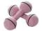 HANTLE HANTELKI ZESTAW PINEAPPLE DUMBBELL SET BC78