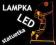 SIATKARZ LED - Lampka nocna - RGB + Pilot