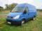 IVECO DAILY KLIMA IZOTERMA BLIŹNIAKI+INNE 70-SZTUK