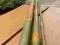 Bambus - gruntowy - 524.5 cm ...