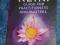 THE ULTIMATE REIKI GUIDE - Lawrence Ellyard