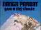 Nanga Parbat góra o złej sławie Anna Czerwińska
