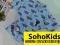 SOHOKIDS Koszula Nadruki 5 6 110 116 NOWA USA Lato