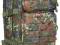 PLECAK ASSAULT I - MFH - 30L - LASER - FLECKTARN