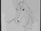 Koń głowa konia portret konia rysunek a4 ołówek