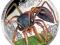 Niebezpieczne zwierzęta - Mrówka Tuvalu 2015