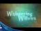 Whispering Willows PS4 / PS Vita EU KLUCZ