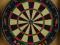 TARCZA SIZALOWA DART DO GRY W RZUTKI PHILL TAYLOR