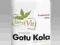 Gotu Kola 450 mg 100kaps STYMULUJE FUNKCJE MÓZGOWE