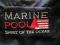 MARINE POOL r. L musto lloyd j.NOWA? ZOBACZ