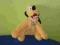 Myszka miki pies Pluto Disney znaczek 20cm