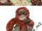 NICI ORANGUTAN 25cm PLUSZAK MASKOTKA MIĘKKA bas_m2