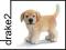 SCHLEICH GOLDEN RETRIEVER, SUCZKA NEW 09 16378 ZAB