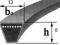 PASEK KLINOWY HA-13x2500