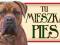 CANE CORSO TABLICZKA NA DRZWI