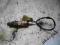 Suzuki Baleno 1.3 16V  - sonda lambda