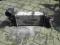 INTERCOOLER PEUGEOT 406 99- 2.0HDI 2.2 HDIF