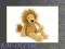JELLYCAT Maskotka przytulanka Lew 33 cm