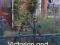 Victorian and Edwardian Houses A Guide to Care and