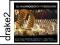 50 NAJWIĘKSZYCH PRZEBOJÓW (DIGIPACK) [3CD] OPOLE