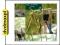 dvdmaxpl SOULGRASS (CD)