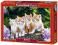 ! Puzzle 1000 Castorland C-101344 The Cat Crew