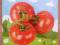 PUZZLE 9 EL DREWNIANA UKŁADANKA EDUKACYJNA POMIDOR