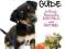 Dog Treats The BARKtender's Guide to Easy Homemade