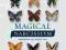 Magical Narcissism Selected Writings on Books, Wri