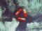 PORCUPINE TREE Voyage 34 2LP 180g COLOR NOWA !