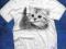 koszulka dziecięca KOTY kociaki kotki różne