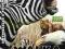 ANIMAL PLANET: WALKA O PRZETRWANIE [DVD]
