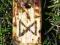 runa DAGAZ przypalana drewniana cieniowana /104